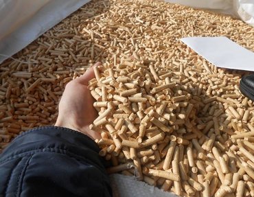 PHOTO-2022-09-30-06-17-31 4.jpg