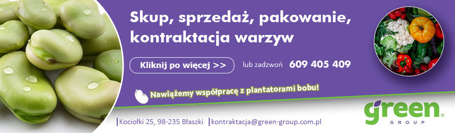advertisement_alt