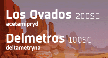 advertisement_alt