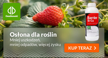 advertisement_alt