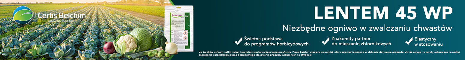 advertisement_alt