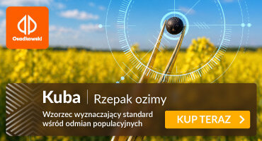 advertisement_alt